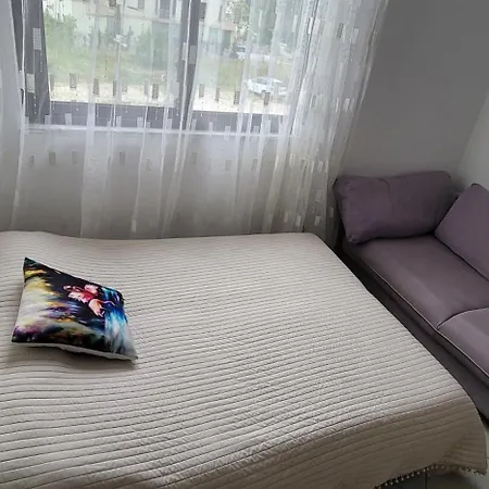 Nr 10 Golem (Tirana)